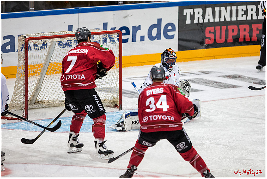 Koelner Haie - Straubing Tigers, 03.10.2016
